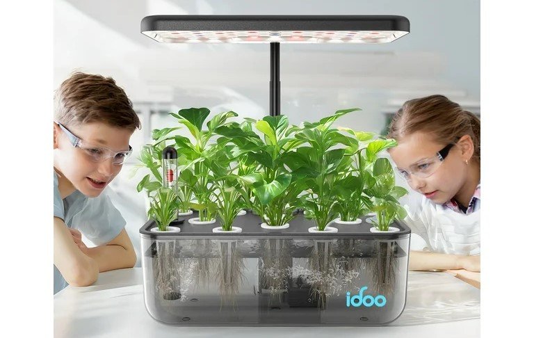 Beginner gardener checking herbs in a smart indoor garden setup