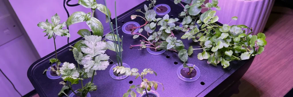 LED grow light system built into a smart indoor planter