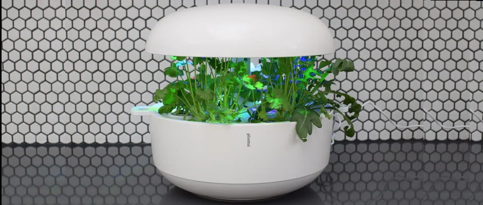 Smart Planter 2