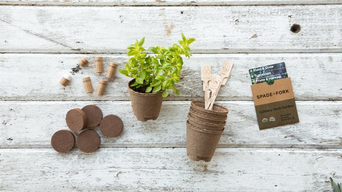 Spade To Fork organic indoor garden kit with compostable pots and seedlings