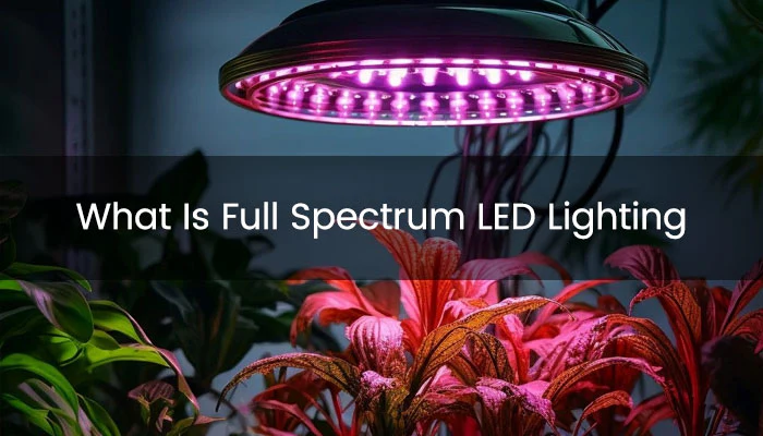 Close-up of a full-spectrum LED grow light illuminating leafy green indoor plants.