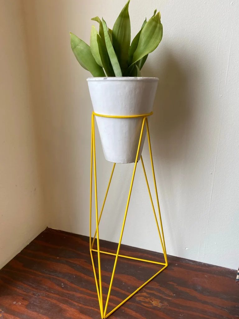 Modern loft with concrete pedestal stand and snake plant for bold interior style