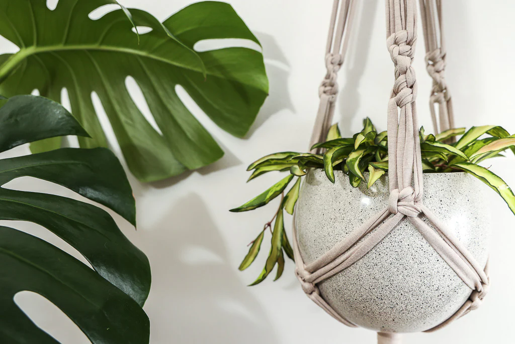 Macramé plant holder hanging in a sunny bathroom with trailing pothos